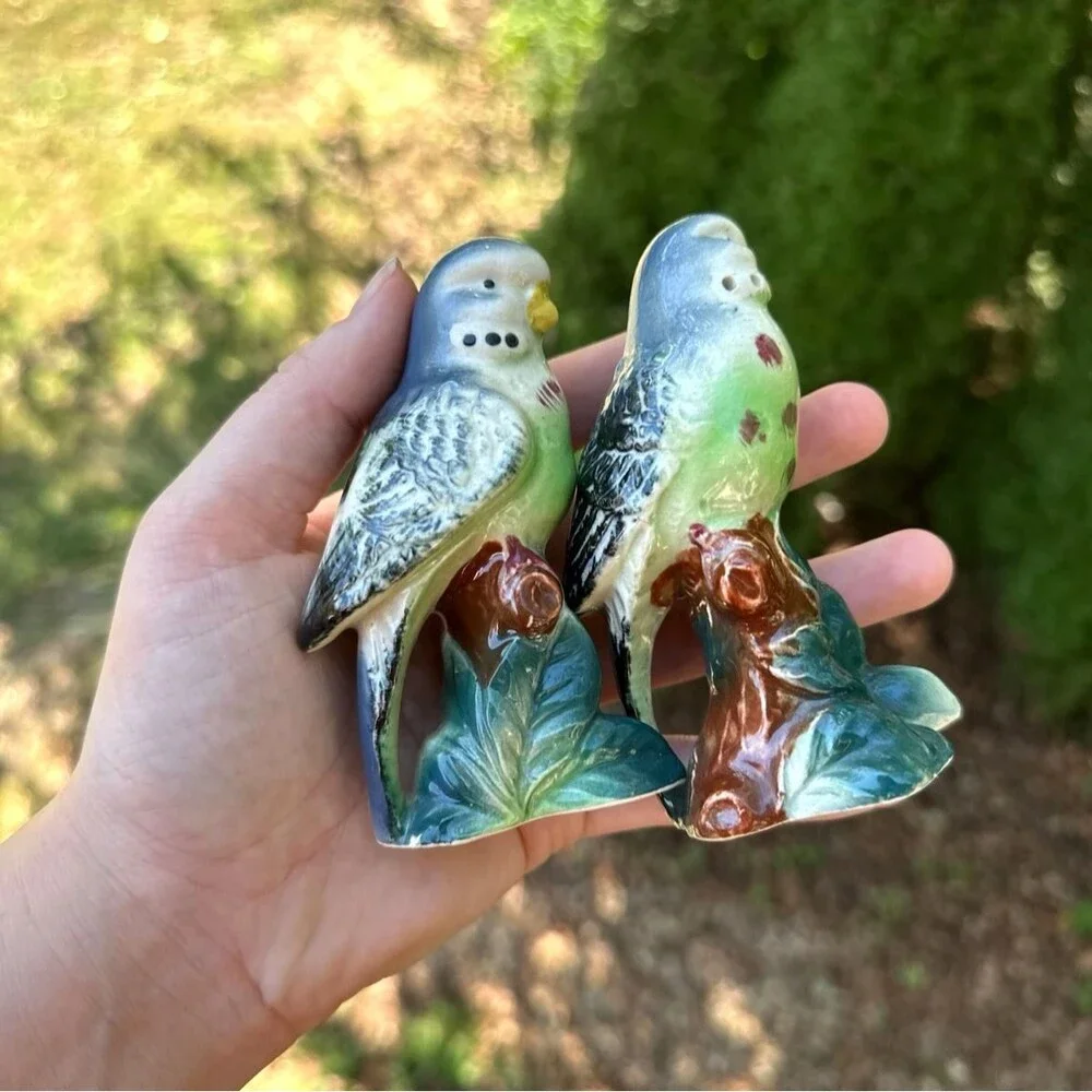 Vintage Porcelain Salt and Pepper Shakers Budgerigar Parakeets Birds